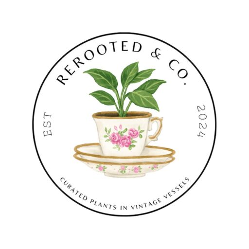 544730559_122108053052992032_7261547709906001022_n